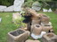 Rock Crop of planters, tree patterns, and bird baths._th